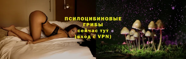 ГАЛЛЮЦИНОГЕННЫЕ ГРИБЫ Нягань