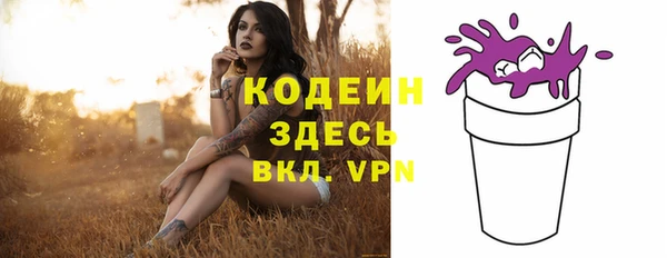 спиды Няндома