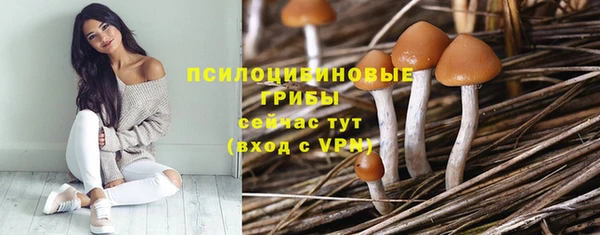 марки lsd Нязепетровск