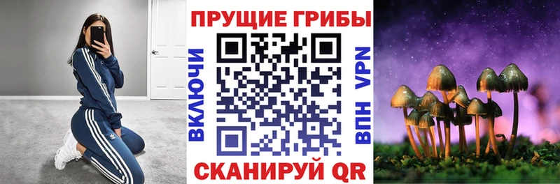 MEGA ТОР  где купить наркотик  Нерехта  Псилоцибиновые грибы мухоморы 