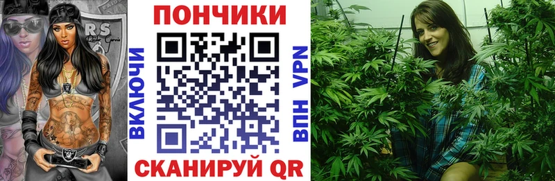 площадка официальный сайт  блэк спрут зеркало  Нерехта  Бошки марихуана семена 